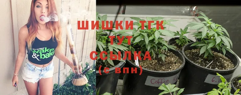 сколько стоит  Бор  Бошки Шишки сатива 